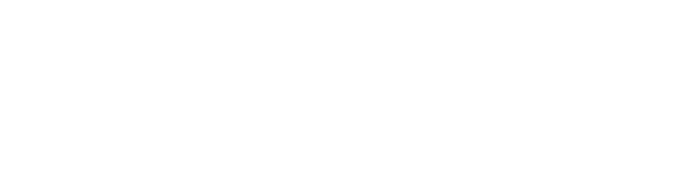 Netgame